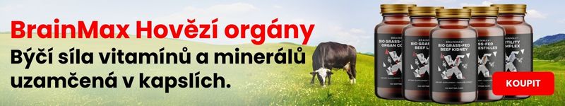 Hovězí orgány